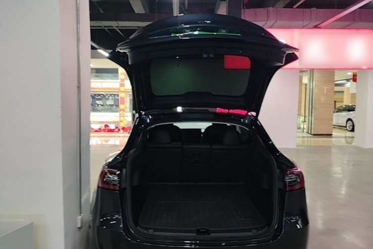 Tesla Model Y 2024 car image #19