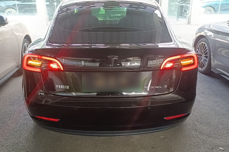 Tesla Model 3 2021 car image #4