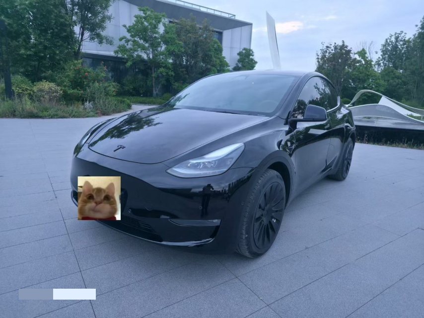 Tesla Model Y 2023 car image 
