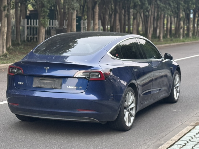Tesla Model 3 2020 #8 Tesla Model 3 2020 car image #8