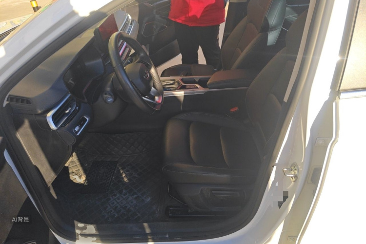 GEELY Emgrand 2021 immagine di auto #17