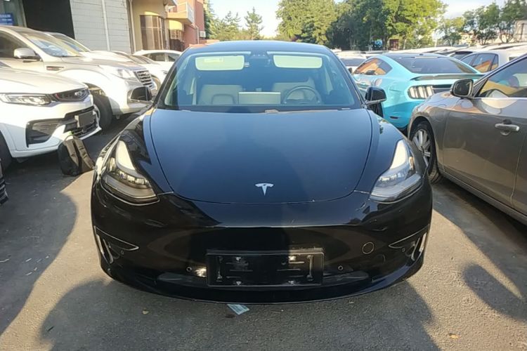 Tesla Model 3 2020 immagine di auto #3