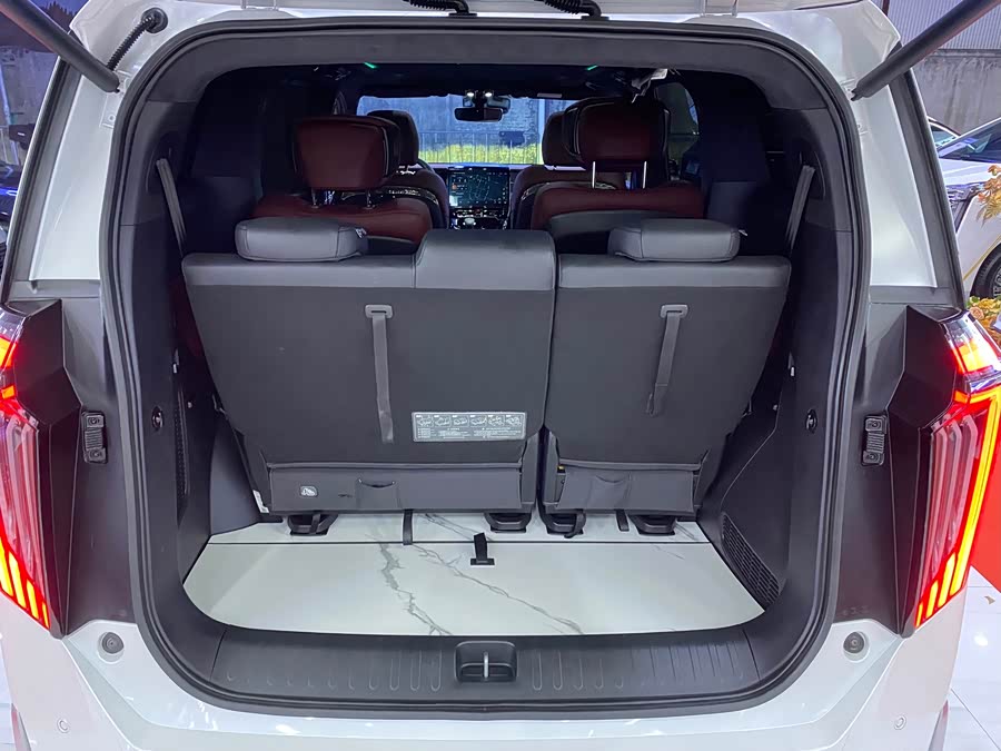 GAC Trumpchi M8 2024 car image #30