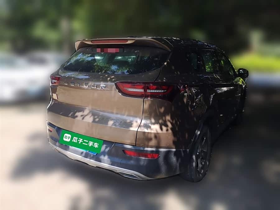 Jetour X70M 2020 car image #30