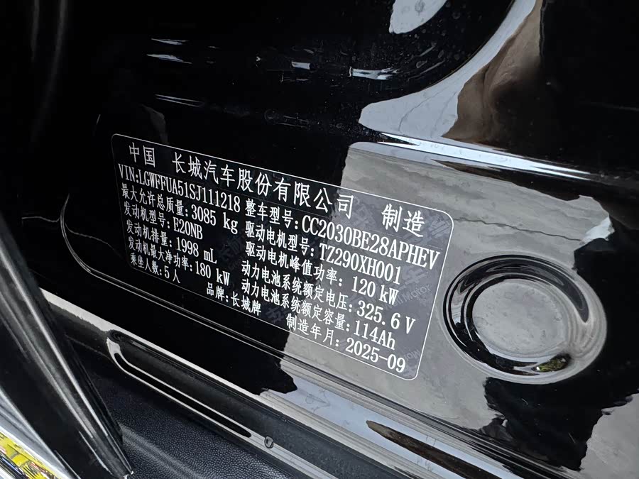 Tank 300 New Energy 2025 #30 Tank 300 New Energy 2025 car image #30