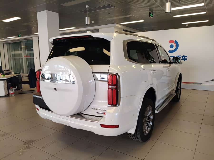 Tank 500 New Energy 2024 immagine di auto #30