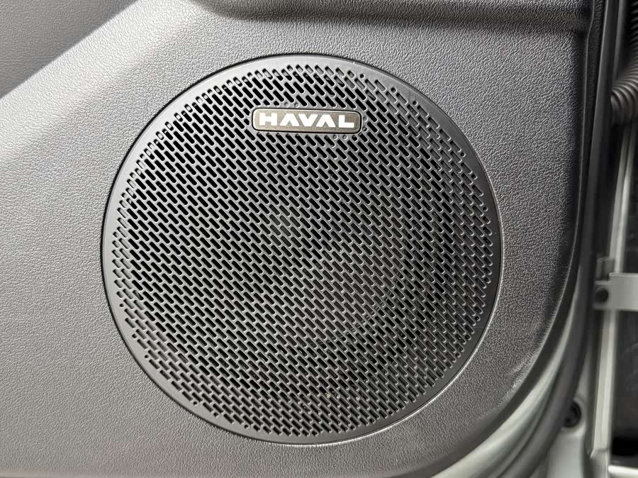 Haval Raptor New Energy 2024 car image #30