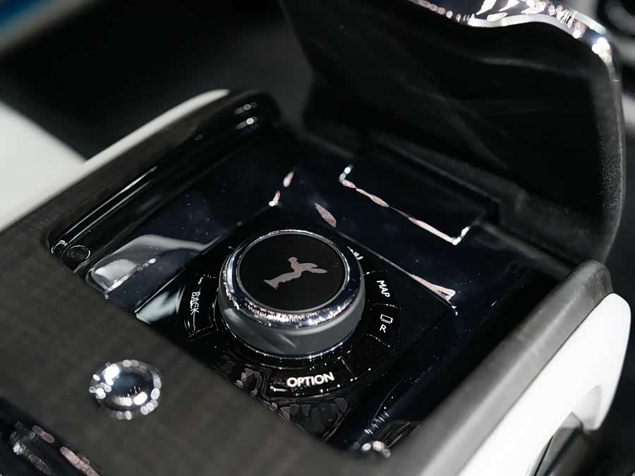 劳斯莱斯 古思特 2023 汽车图片 #30