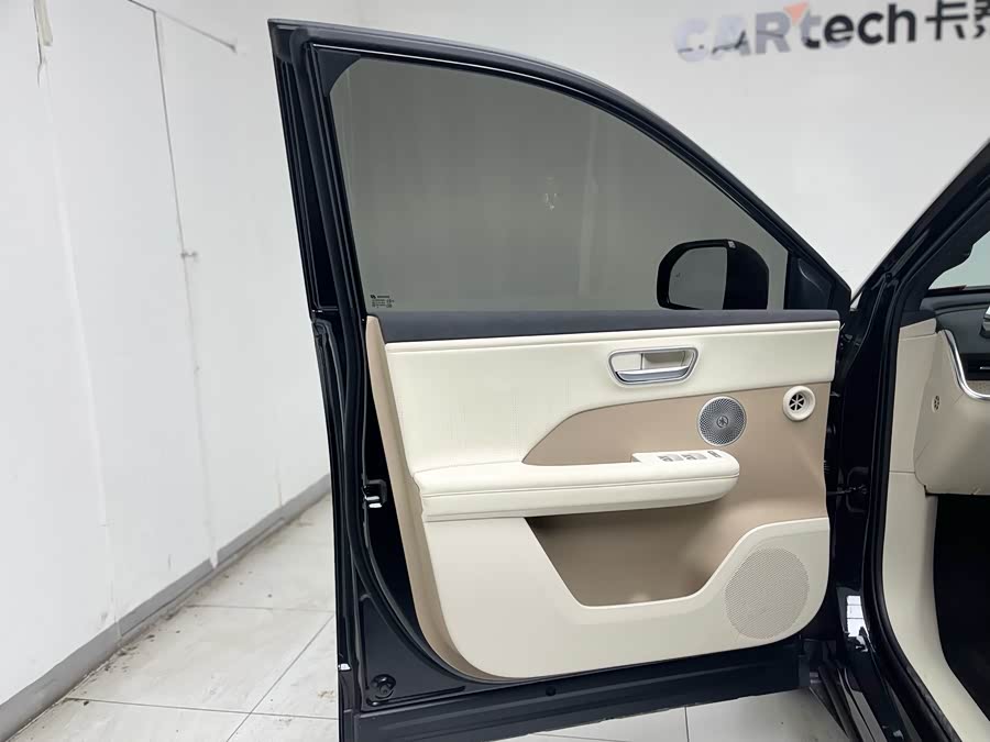 Toyota Bozhi 3X 2025 immagine di auto #30