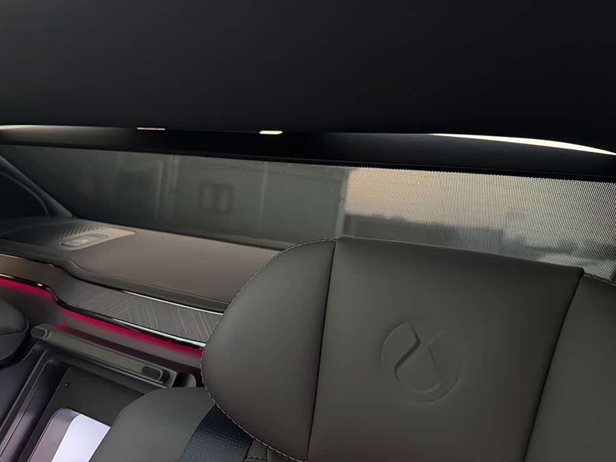 Denza Z9 2024 immagine di auto #30