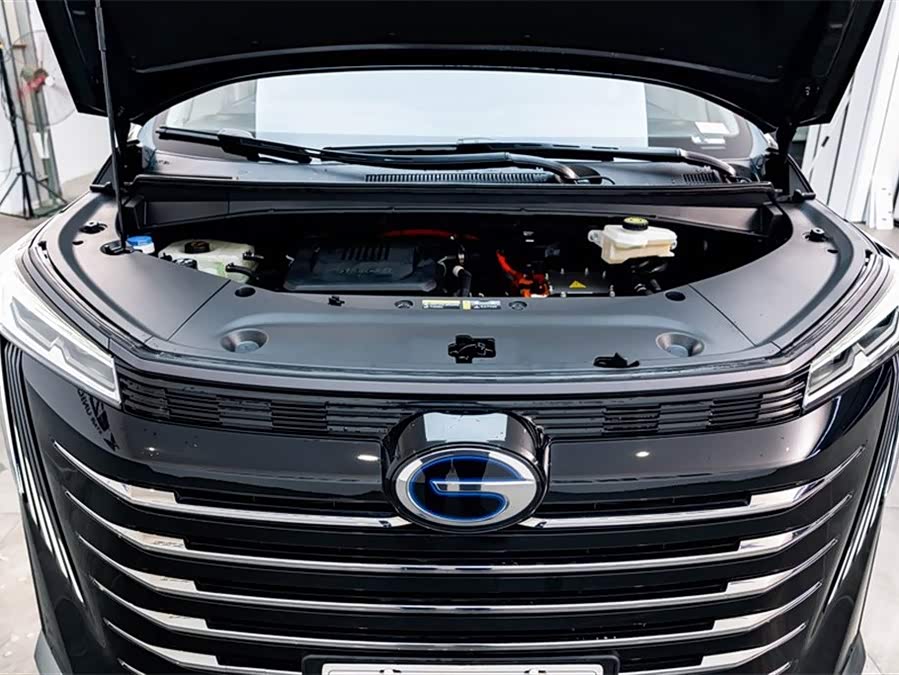 GAC Trumpchi E9 2024 car image #30