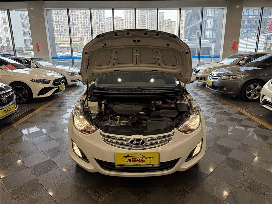 Hyundai Elantra MD 2013 car image #30