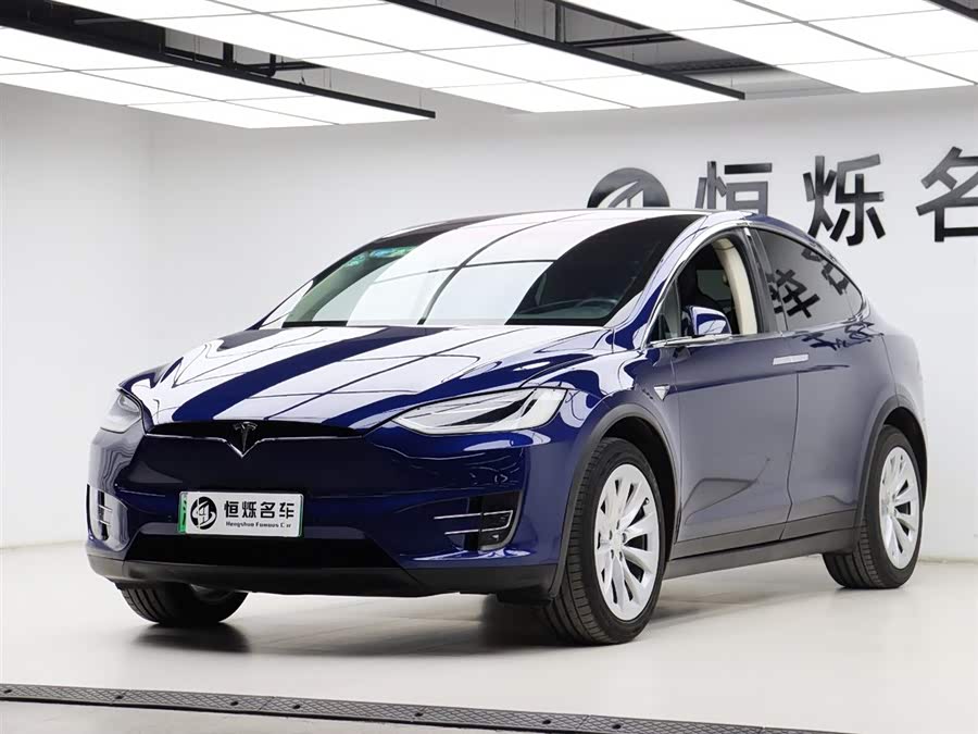 Tesla Model X 2017 car image #30
