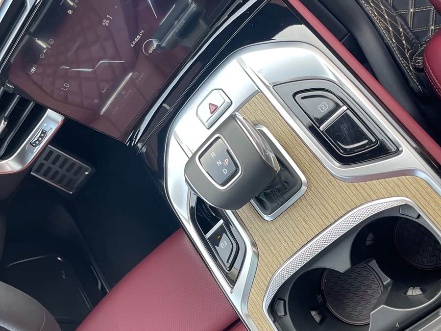 HongQi E-HS9 2023 изображение автомобиля #30