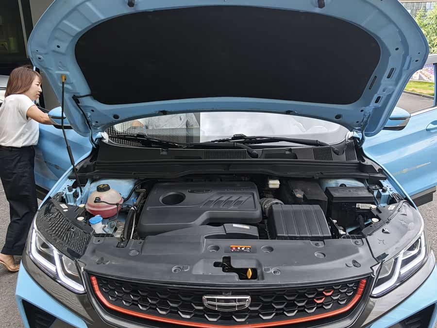 GEELY 2022 immagine di auto #30