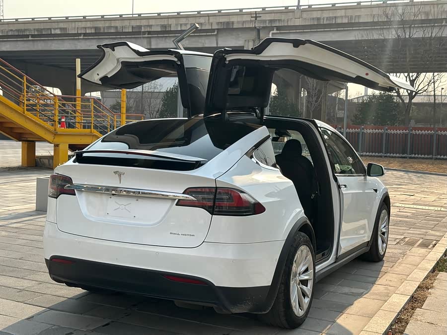 Tesla Model X 2020 #30 Tesla Model X 2020 car image #30