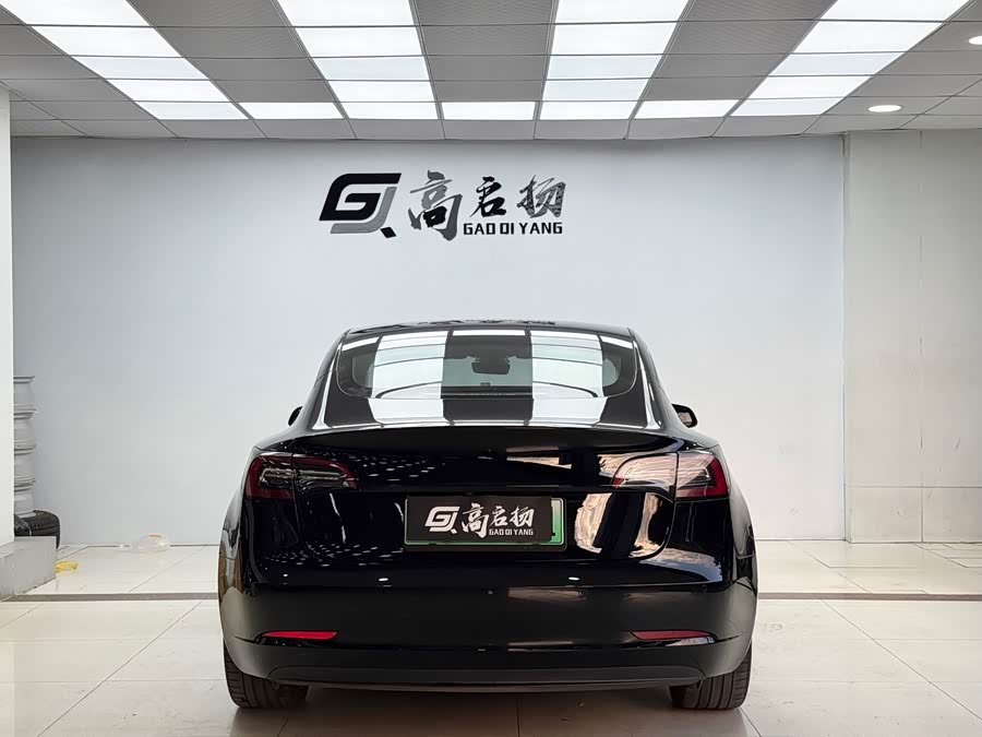 Tesla Model 3 2021 car image #30