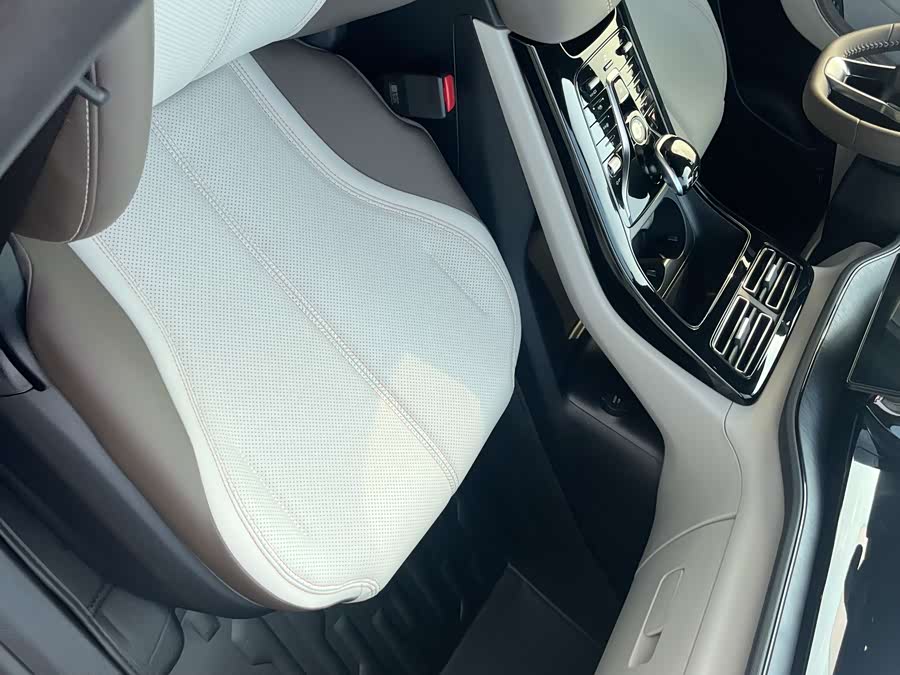 BYD Qin Plus 2024 immagine di auto #30