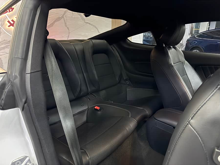 Ford Mustang 2019 #30 Ford Mustang 2019 car image #30