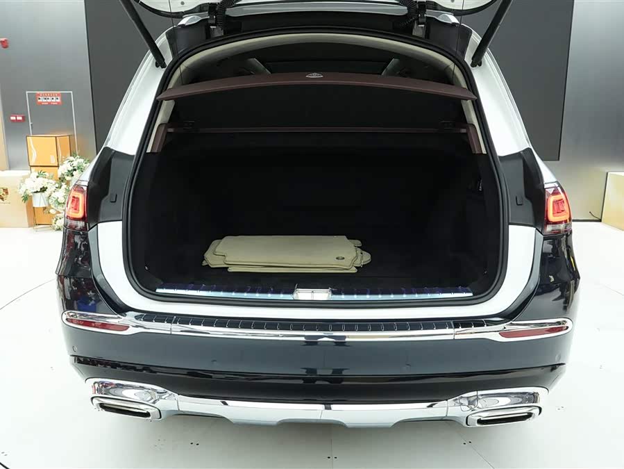 Mercedes-Benz Maybach GLS 2021 car image #30