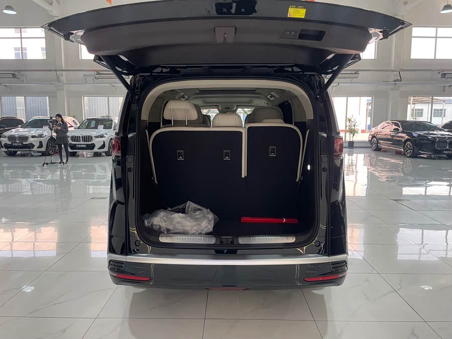 Denza D9 2025 imagen de coche #30