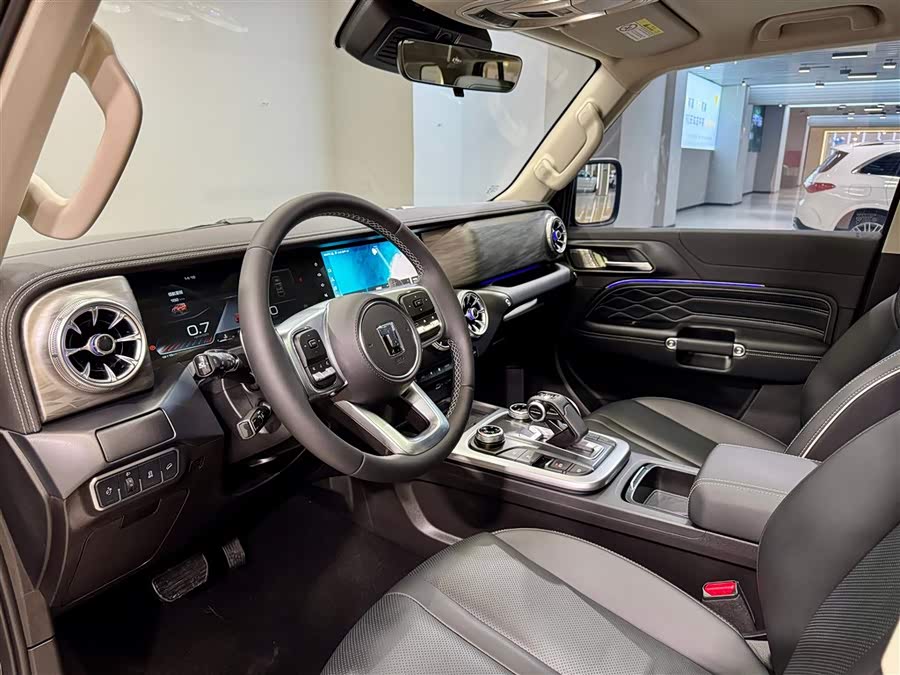 Tank 300 2024 car image #30