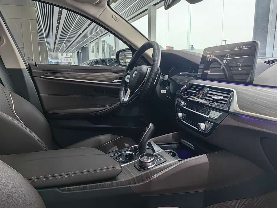 BMW 5 Series 2021 car image #30