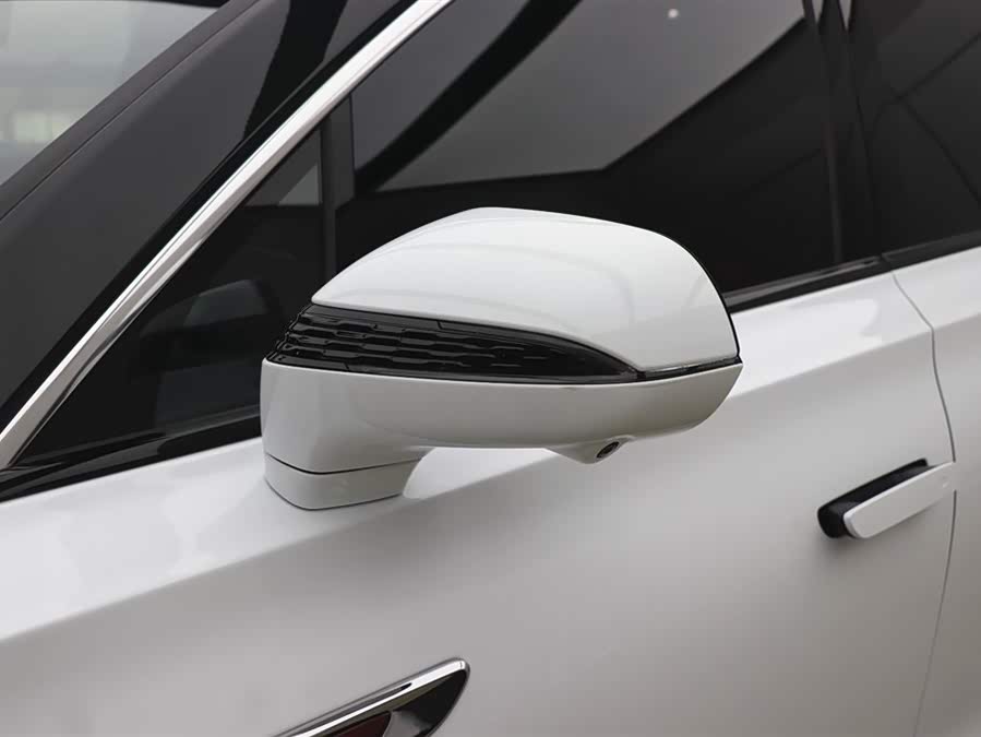 HongQi E-HS9 2023 изображение автомобиля #30