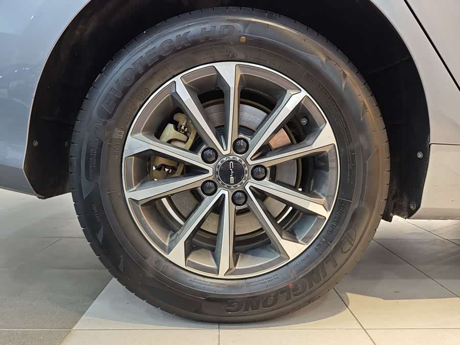 BYD Destroyer 05 2024 car image #30