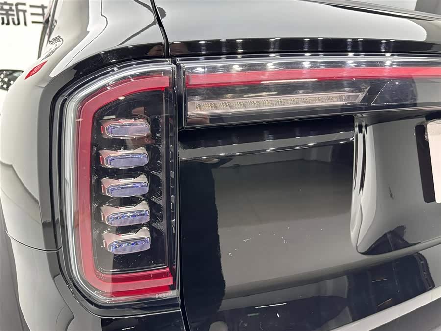 Haval X Dog / Dargo 2023 car image #30