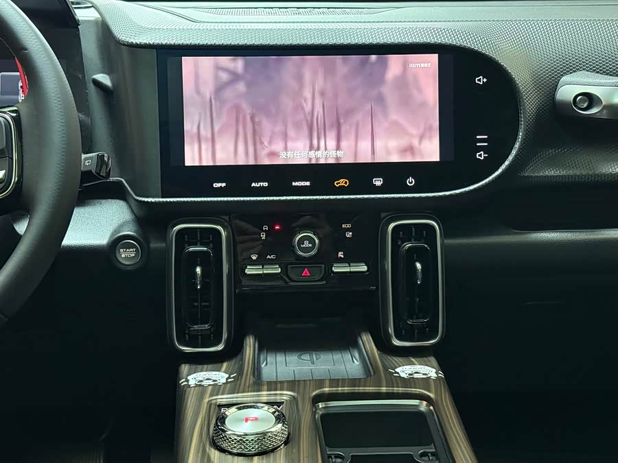 Haval X Dog / Dargo 2024 immagine di auto #30