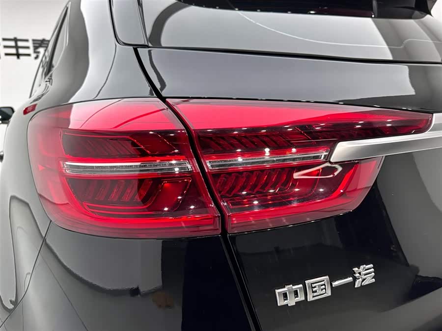 HongQi HS5 2023 immagine di auto #30