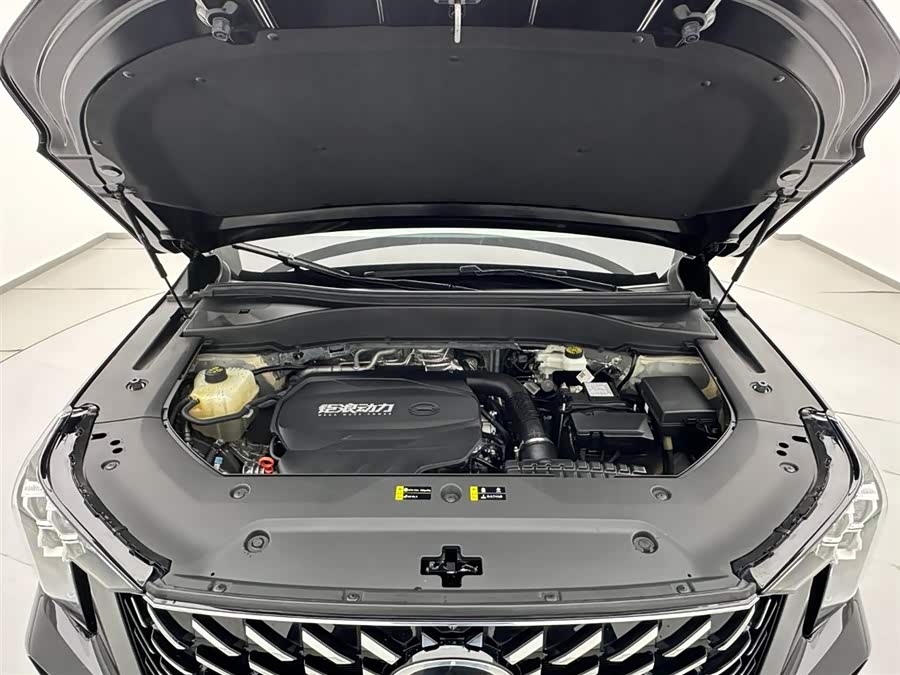 GAC Trumpchi GS8 2024 car image #30