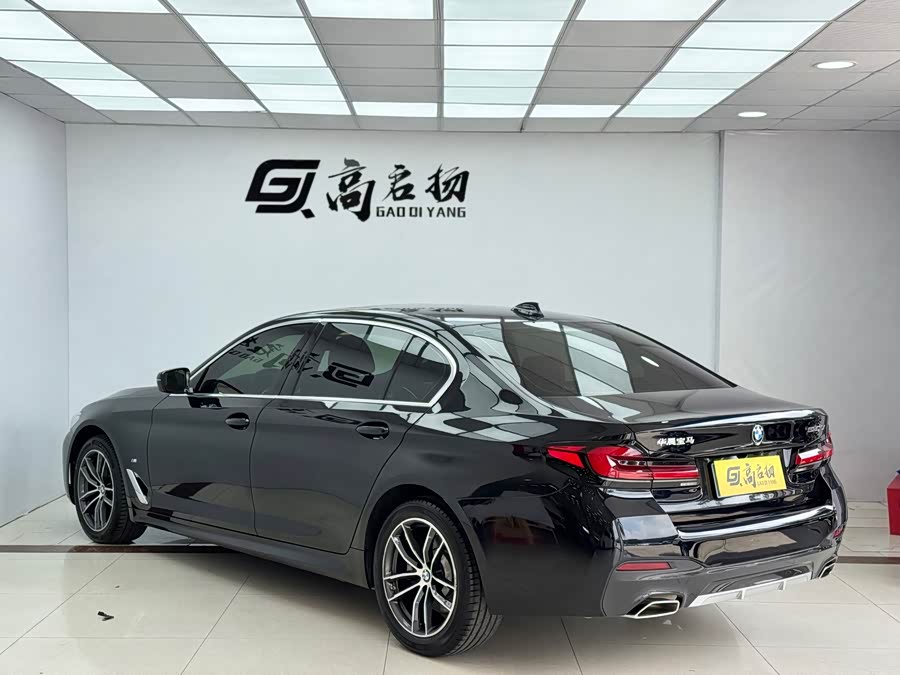 BMW 5 Series 2022 car image #30