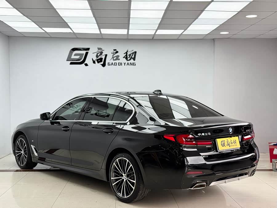 BMW 5 Series 2020 immagine di auto #30