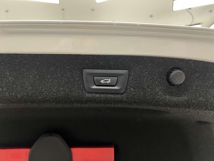 BMW 5 Series 2019 car image #30