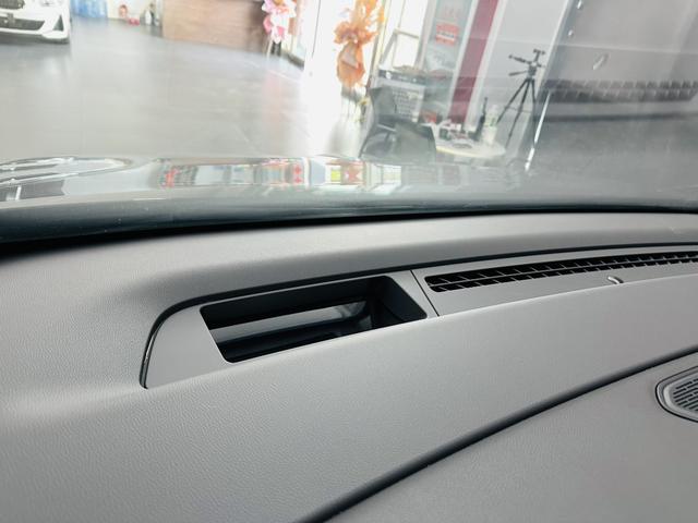 HongQi HQ9 PHEV 2024 immagine di auto #30