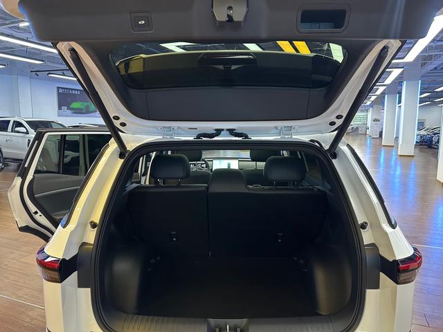 Toyota Bozhi 3X 2025 car image #30