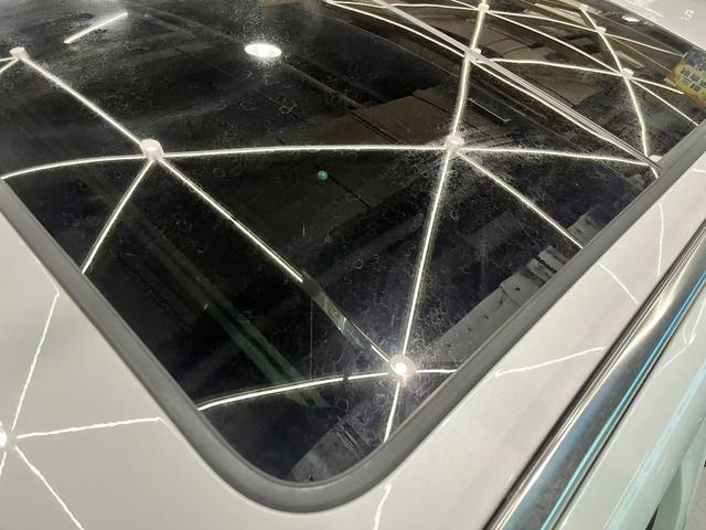 Denza X 2020 car image #30