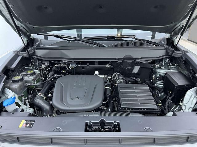 Haval Raptor New Energy 2024 car image #30