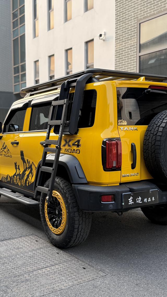 Tank 300 2022 imagen de coche #30