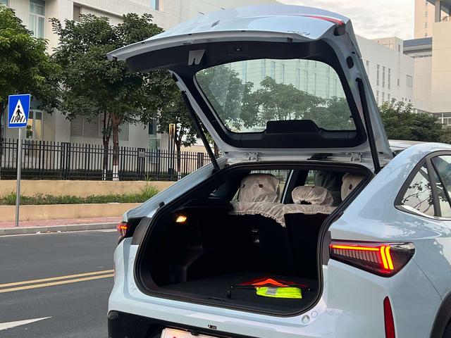 Livan 7 2025 imagen de coche #30