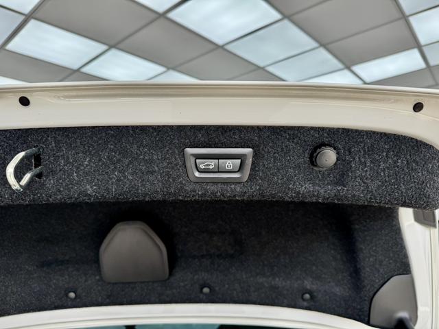 BMW 5 Series (Imported) 2020 car image #30