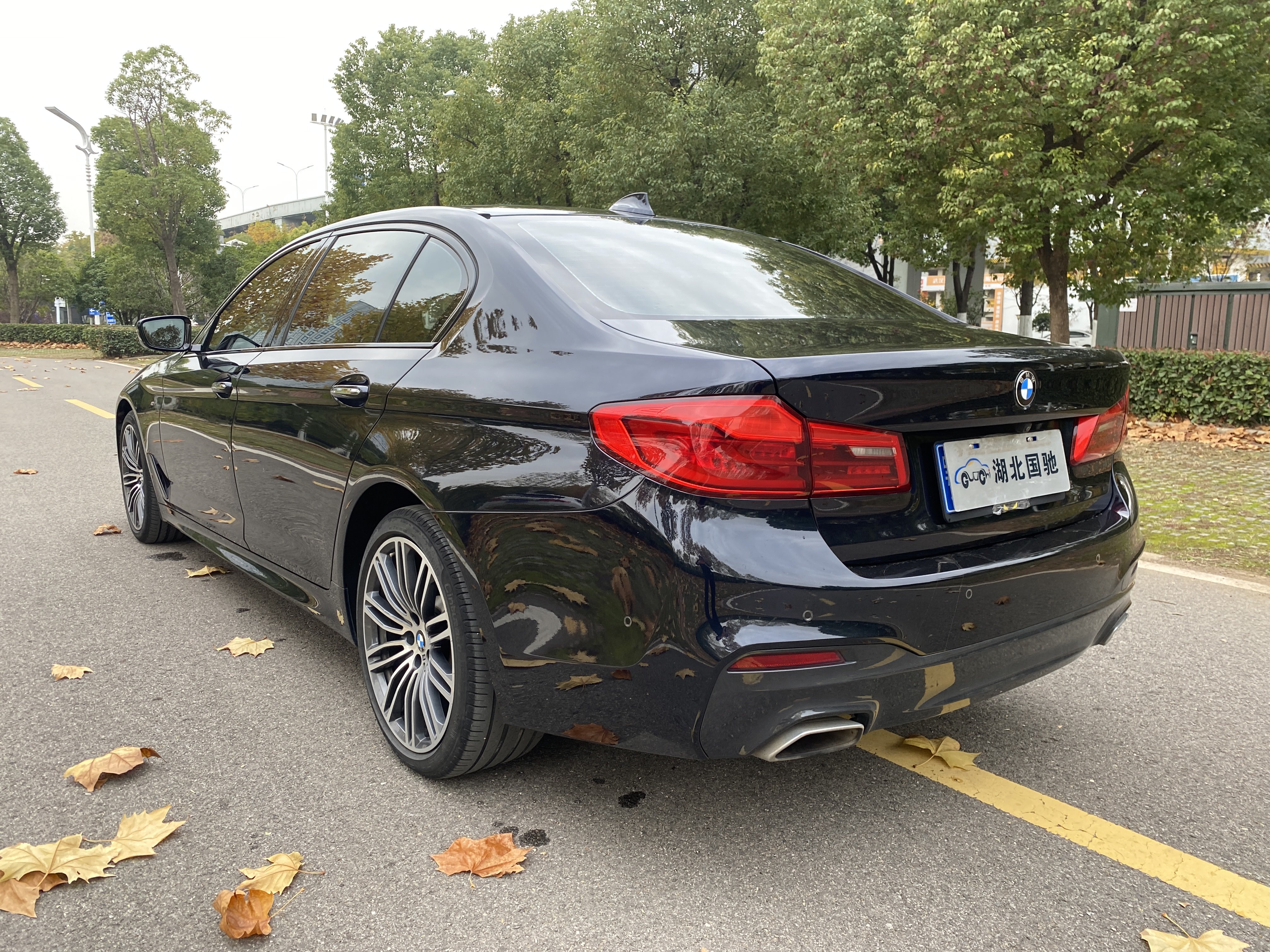 BMW 5 Series 2018 #30 BMW 5 Series 2018 car image #30