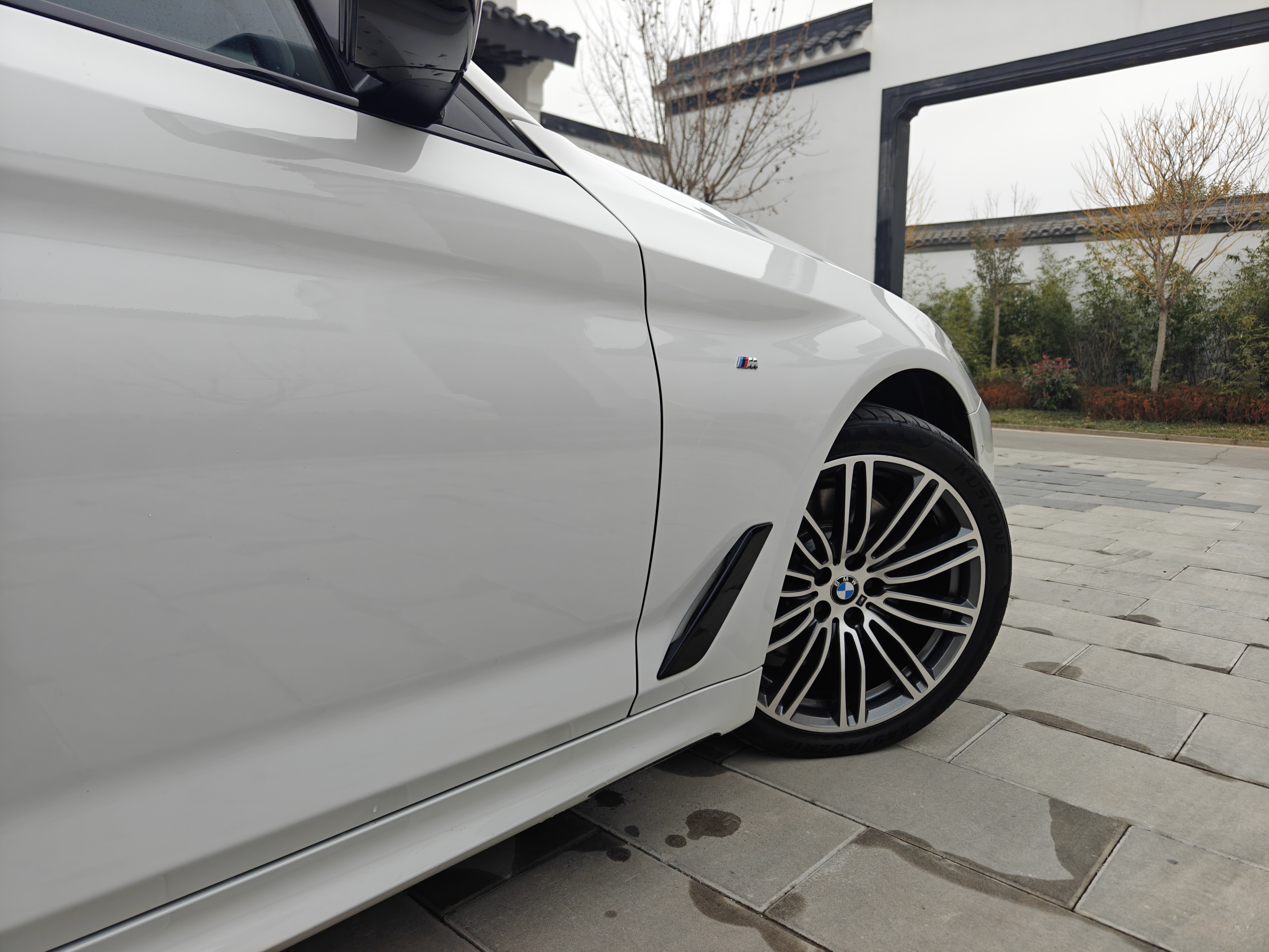 BMW 5 Series 2019 car image #30