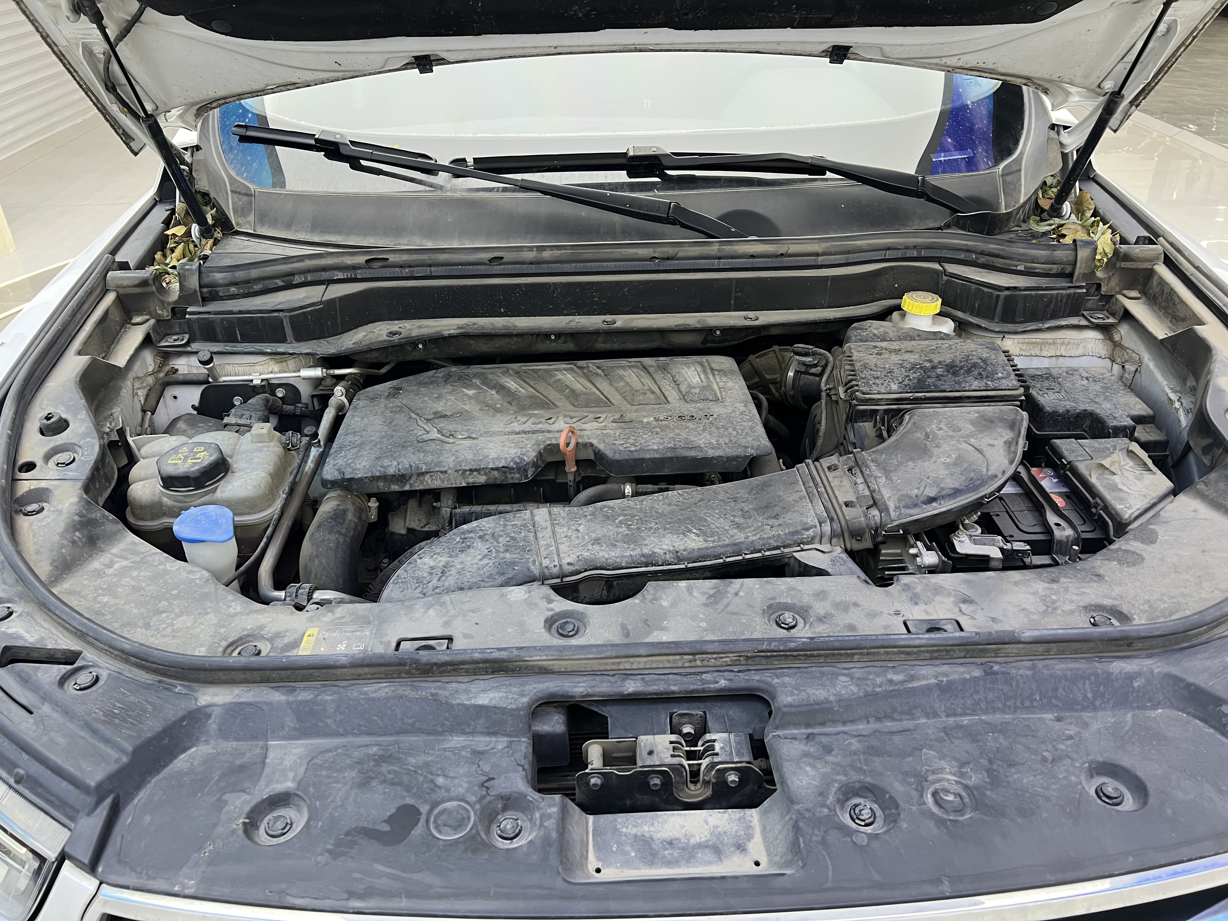 Haval 2019 #30 Haval 2019 car image #30