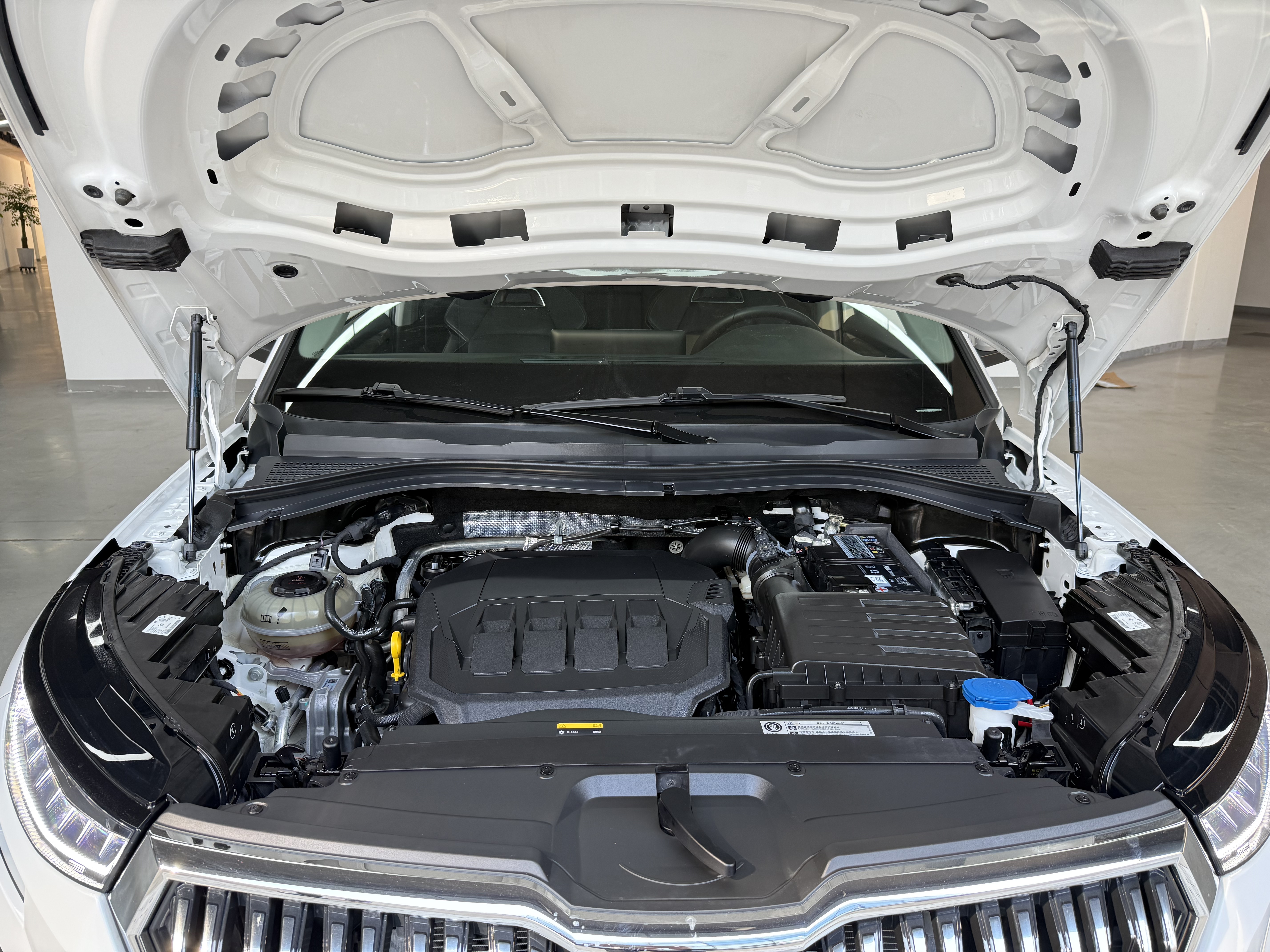 Skoda Kodiaq 2022 car image #30