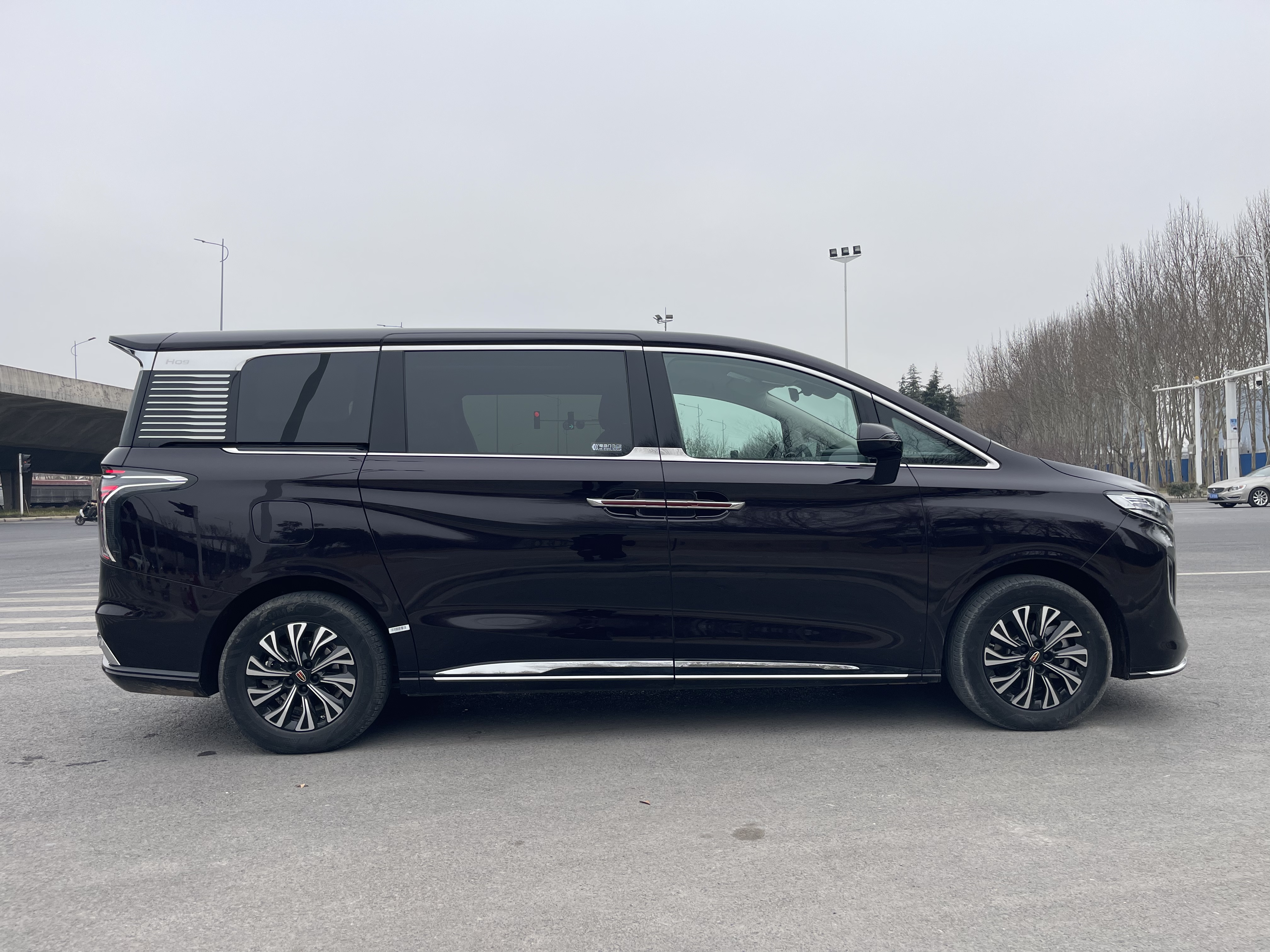 HongQi HQ9 PHEV 2024 car image #30