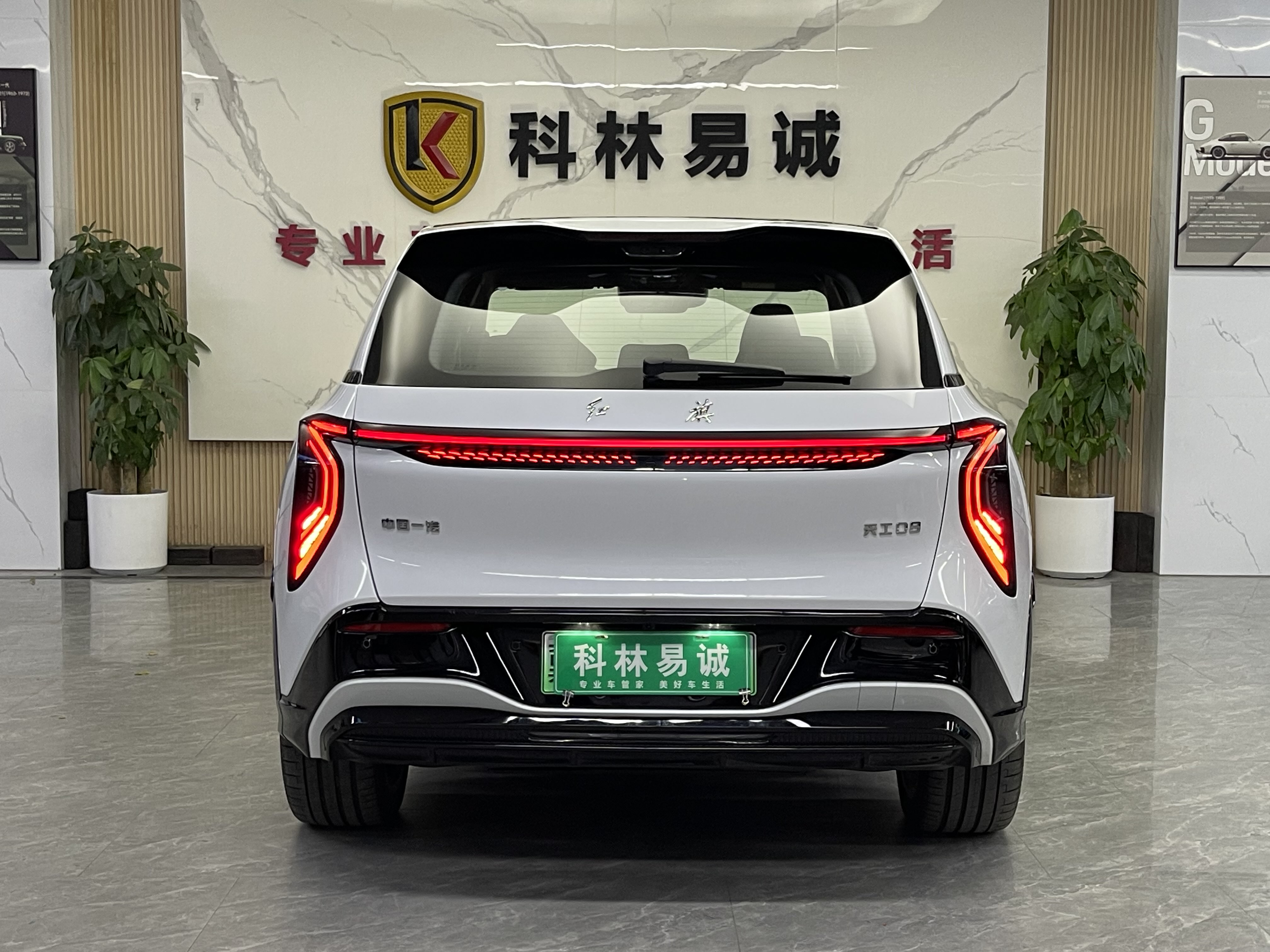 HongQi TianGong 08 2025 car image #30