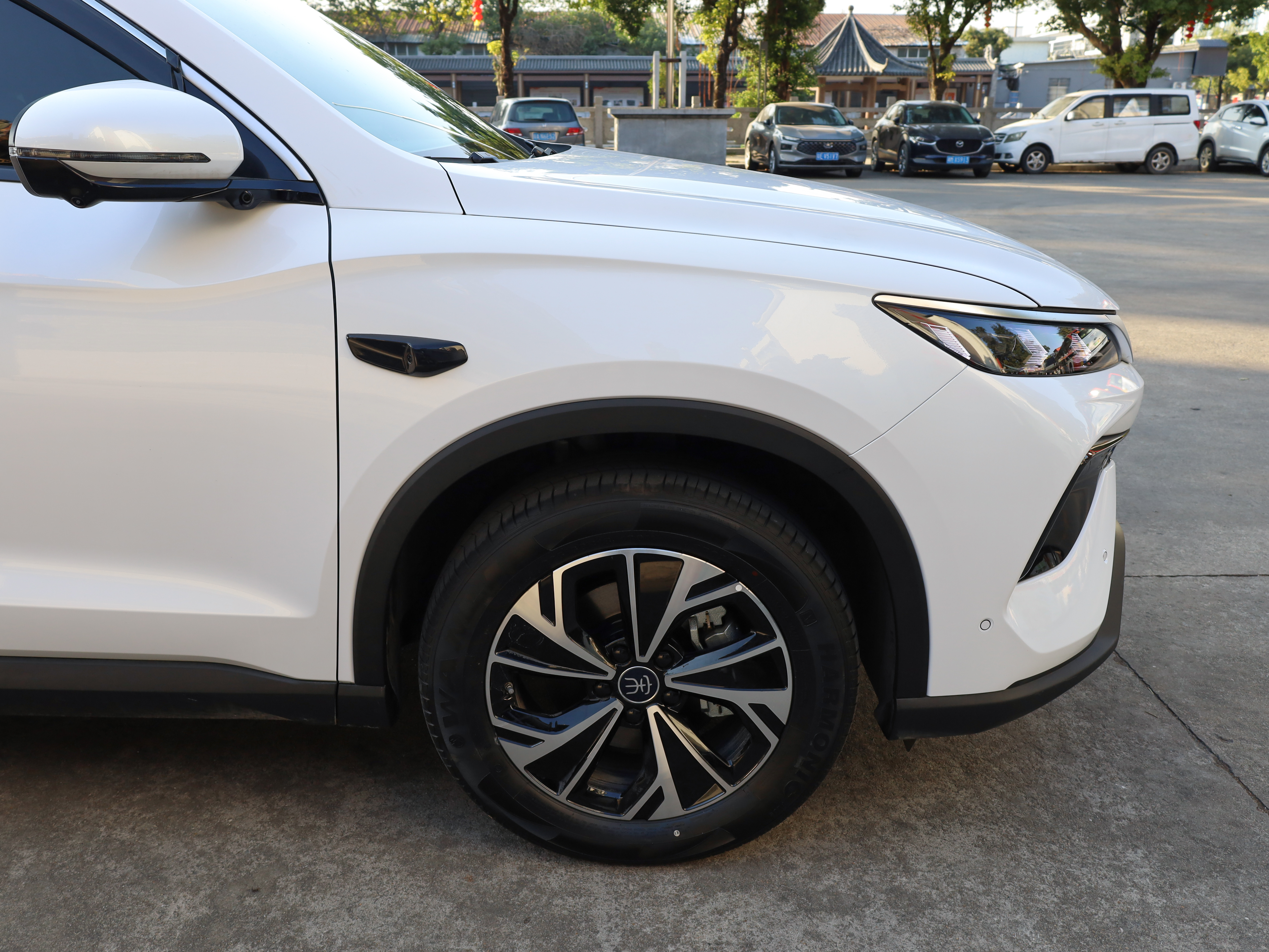 BYD Song Pro New Energy 2025 #30 BYD Song Pro New Energy 2025 car image #30
